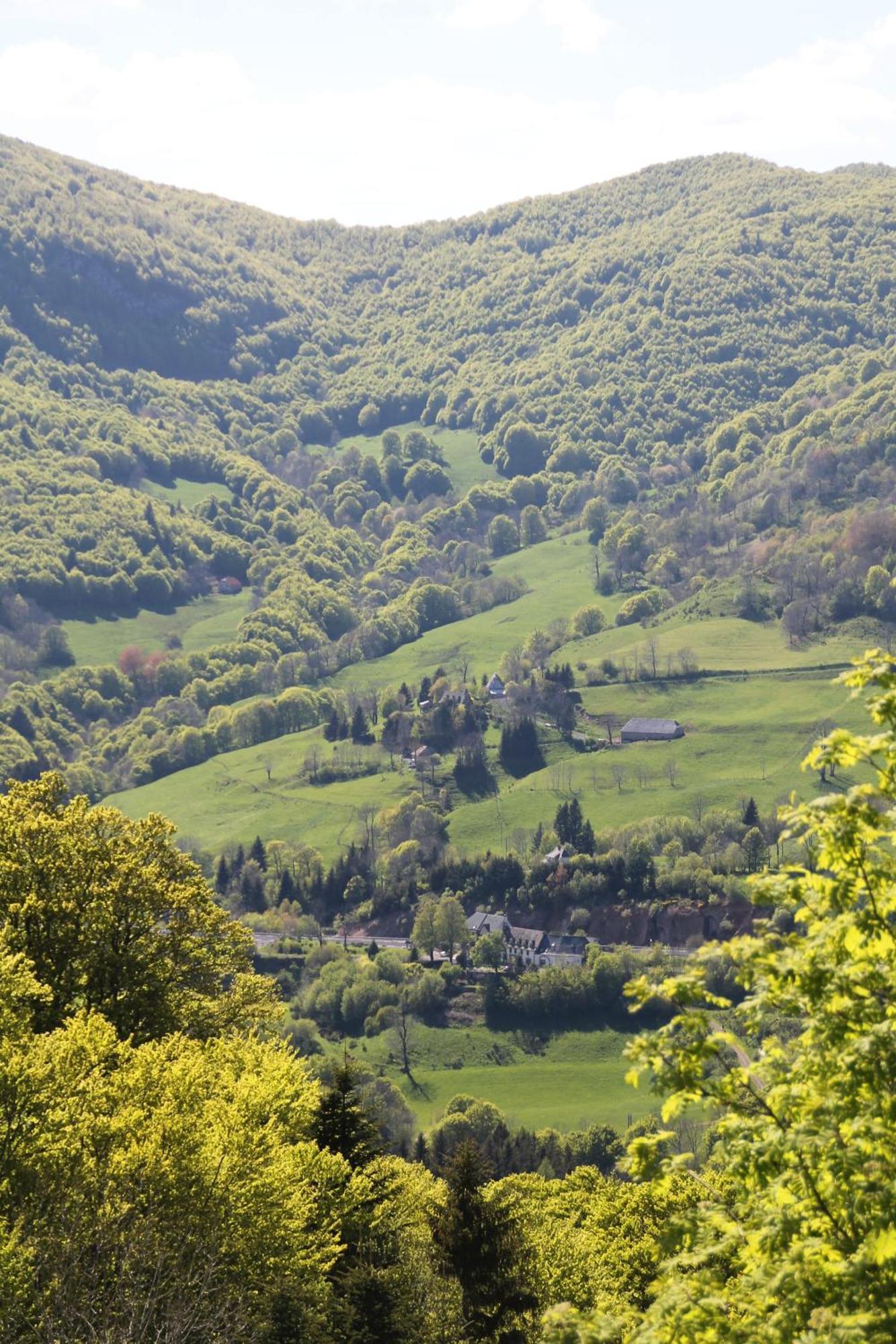 Des Chazes Saint-Jacques-des-Blats